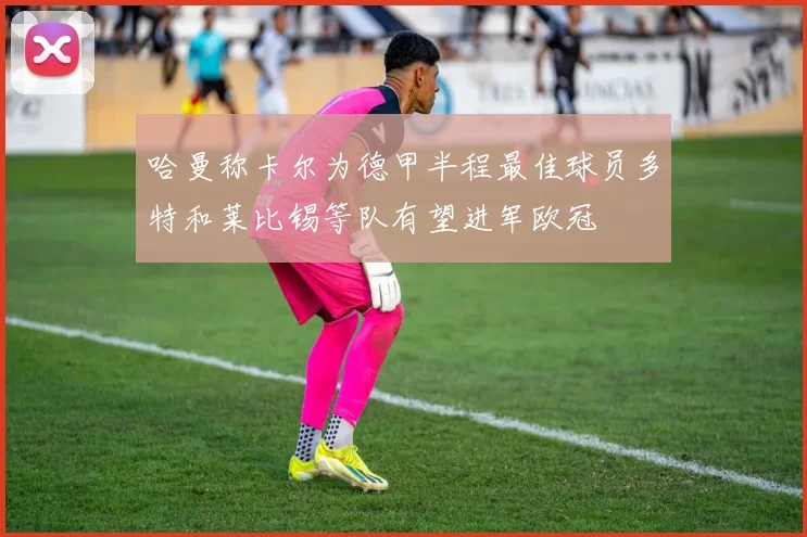 哈曼称卡尔为德甲半程最佳球员多特和莱比锡等队有望进军欧冠