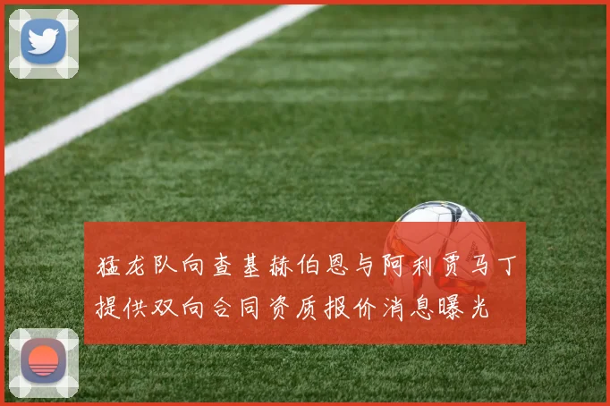 猛龙队向查基赫伯恩与阿利贾马丁提供双向合同资质报价消息曝光